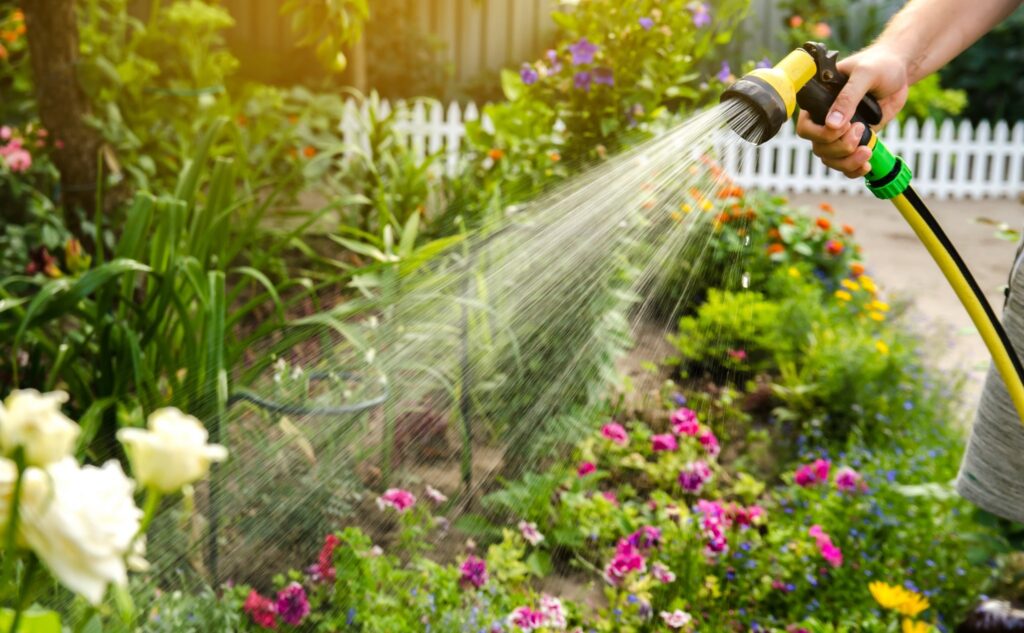 Budget Water-Saving Tips for Your Yard and Garden: Keep Your Landscape Lush Without Wasting Water or Money